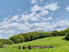 ݂Riding Club Jobardߐ{ւ̓eʐ^1