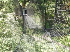 eri̋󒆂̑ւ̓eʐ^2