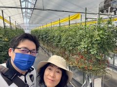 邱񂳂̂ǂEEH[^[Et@[ւ̓eʐ^1