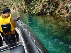 Ɓ[񂳂̃BgJ̓]ւ̓eʐ^1