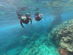 ȂȂ݂̐̓AJiT_CrOւ̓eʐ^1