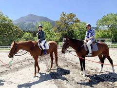 낳̗rR̎ōւ̓eʐ^1