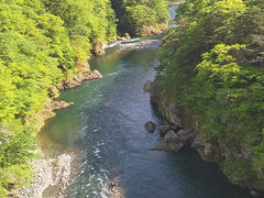 񂳂̋S{|݋ւ̓eʐ^1