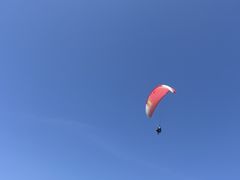 肦̋ƂpOC_[XN[ւ̓eʐ^1