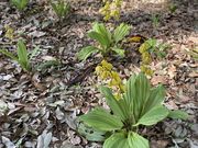 cookie̒ctr lGʂ̓m 쉀icтˉj̓eʐ^3