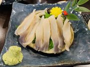 Ƃ炵̂܂Ɠ ȂƉ̓eʐ^2