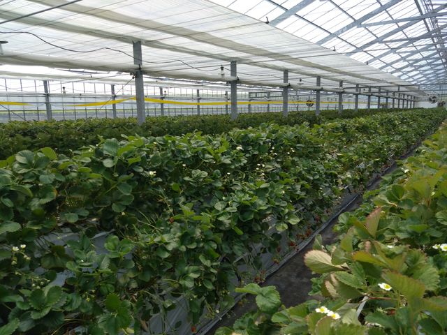 �L���đI�ѕ���ł��_(^o^)�^_�A�O���p�[�N���킫�ό���������