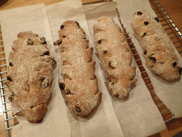 ĂāZ[OtC_Ί炪͂ރp