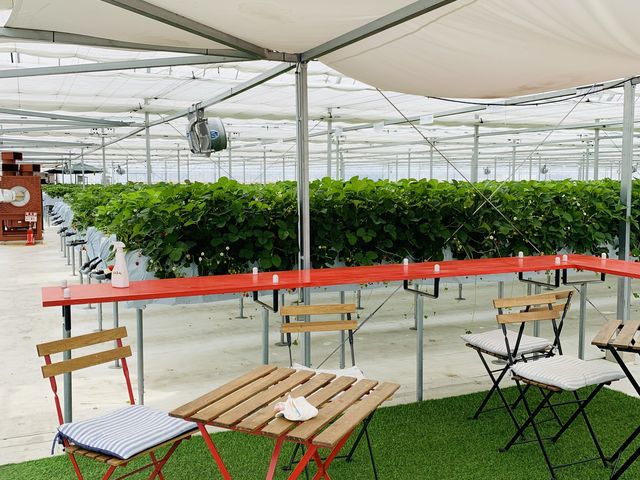 �����ĐH�ׂ�����񂾂�ł��܂��I_�_���N�o���Y�t�@�[��