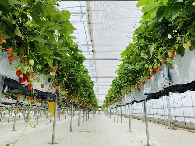 �Y��Ŕ�����������������������I_�_���N�o���Y�t�@�[��