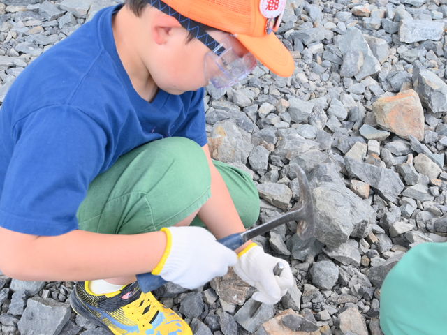 �R�莝�Q�B
�S�[�O���A���Â�(��l�p�E�q�ǂ��p����)�A�^�K�l�݂͑��Ă��������܂��B_����܋����̐X