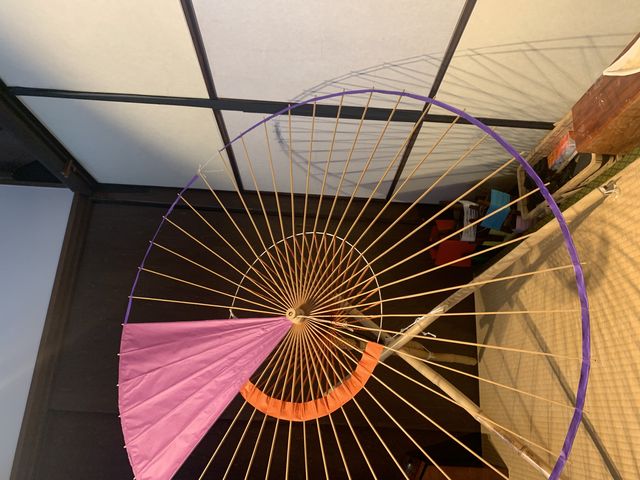 �{�i�q���K�~�\�肪�̌��ł����I_�a�P�@�P�X