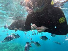 3chiĩ}Nu Gigiւ̓eʐ^2