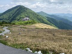 ���݂�������̎l���J���X�g�@�V�獂���i�{�݁j�ւ̓��e�ʐ^1