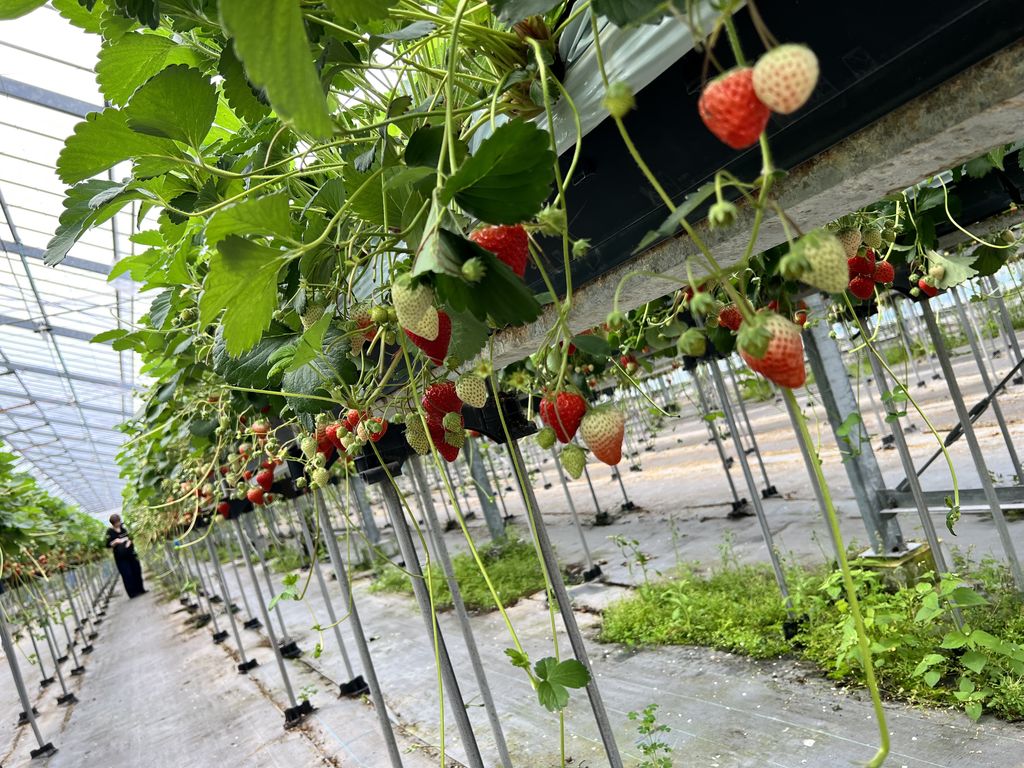 藤枝市の観光スポットランキングTOP10 - じゃらんnet