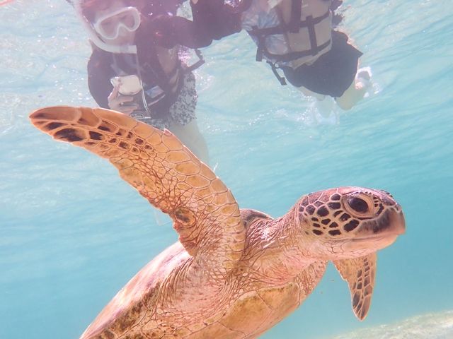 ��������x�X�g�V���b�g�B���Ă���܂����I�I_CHAMP TOUR �{�Ó�