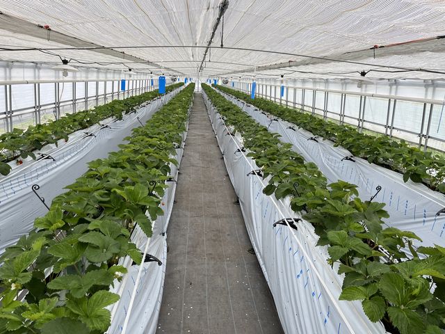 �L���C�Ɏ���ꂳ��Ă��܂����B_�����x�G�i�W�[�t�@�[���@���������Ƃ��������̐X