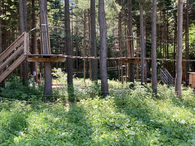 �����ł�_�t�H���X�g�A�h�x���`���[�E�b��