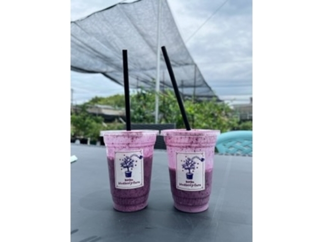 ��i��_�����u���[�x���[��