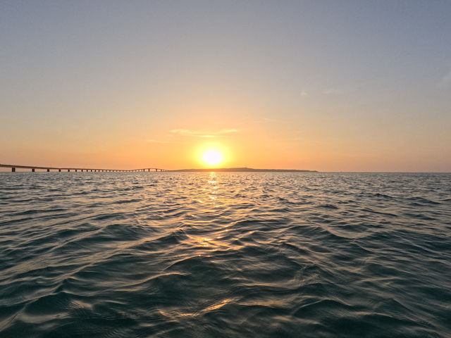 �Y��ȃT���Z�b�g��_CHAMP TOUR �{�Ó�