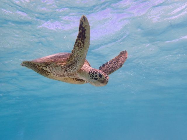 �E�A�E�A�E�~�K�����I�I_CHAMP TOUR �{�Ó�