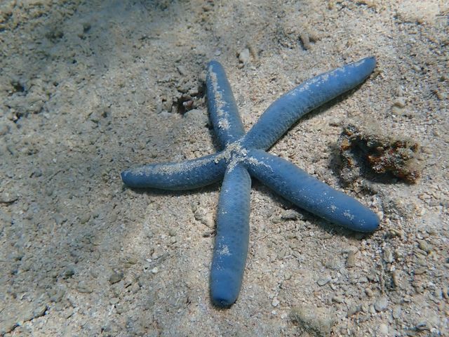 �ǂĂ����q�g�f�I�H_CHAMP TOUR �{�Ó�