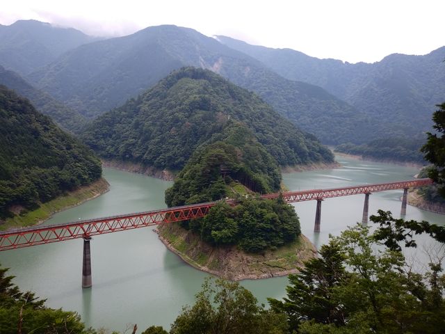 ���݂����Ɍ����閦�ɂ��鉜���Ώ�w�B_�����Ώ�w