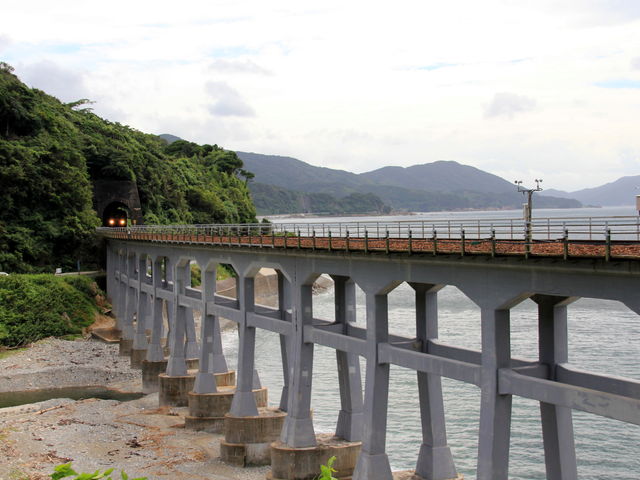 �����ʍs�̗��_�y���싴��