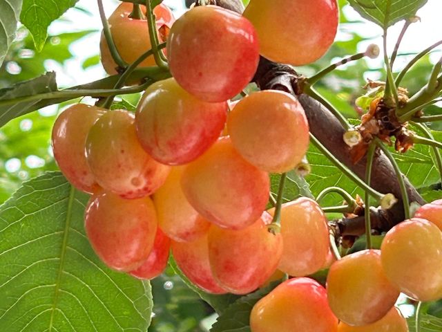 �r���ɓo�炸��Ɏ��܂��B_��܂�������ʎ���