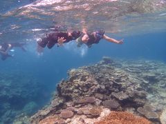 Ί_ ADVENTURE PiPi̎ʐ^2