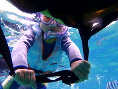 ���₿��񂳂�̃V���m�[�P�����{�@�I�L�i���ւ̓��e�ʐ^1