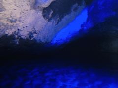 傢܂肳̏M̓AN[Yւ̓eʐ^2