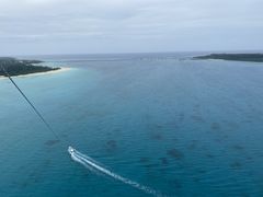 g̃pZ[O@u[zkւ̓eʐ^1