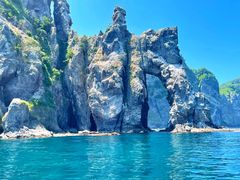 ܂̏M̓AN[Yւ̓eʐ^2