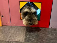 MIYAVÎӂӂւ̓eʐ^1