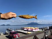 Ղ񂳂̃|siCJpj[̓eʐ^1