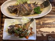 Ђ낫񂳂̒ނD 肫ۂ̓eʐ^4