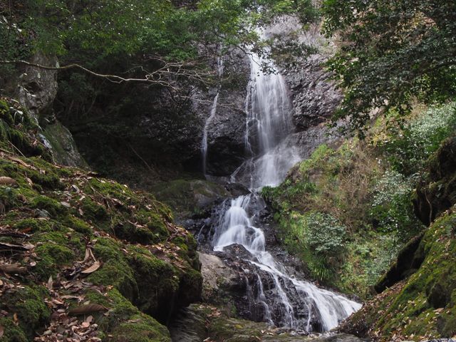 ��u����̗�؂̑�̓��e�ʐ^1