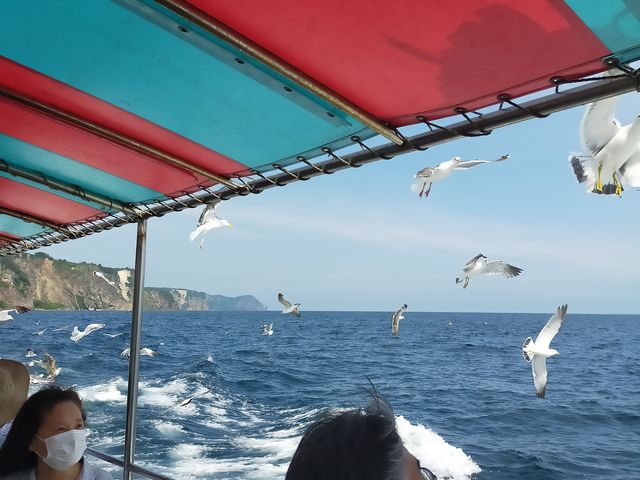 ���ɉa���^�C��_�����W�]�D��j���[���Ⴑ���񍆣