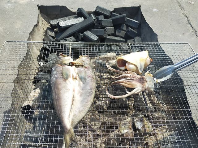 �C�ӂōō��̕l�Ă��ł���_�����W�]�D��j���[���Ⴑ���񍆣