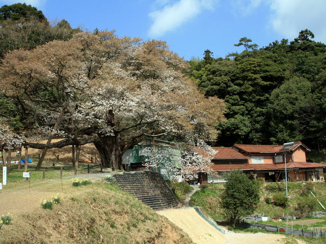 CCꃉC_[̎O啽iwVRLOj̓eʐ^4