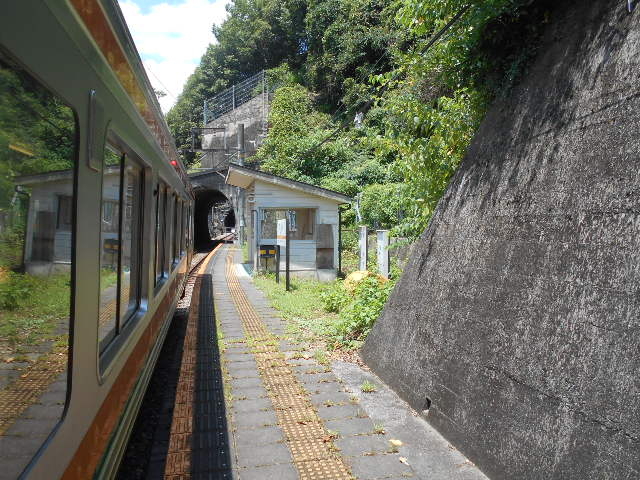 gV[̓c{w(JRѓc)̓eʐ^1