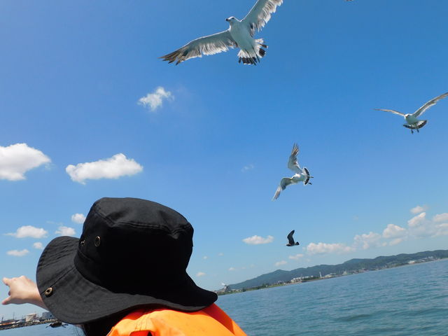 DƕĂ񗈂Ăꂽ_ːCό