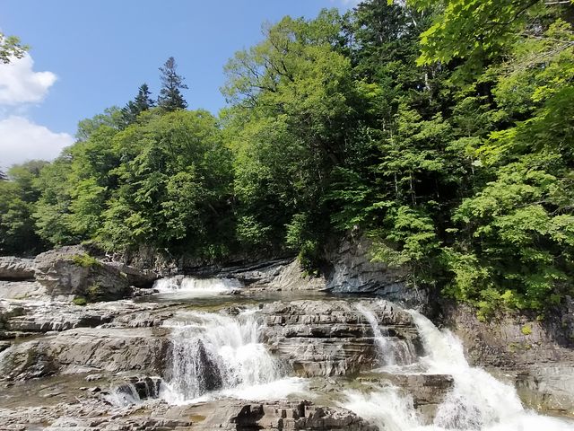 �����������͂����_�O�i��