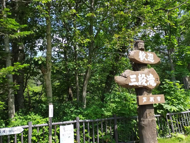 �O�i��̓���_�O�i��