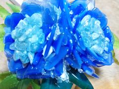 ebh񂳂̗LЎOWM΂ւ̓eʐ^1