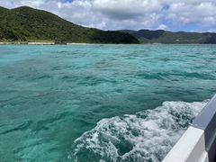 Pisola blueiC]u[jւ̓eʐ^1