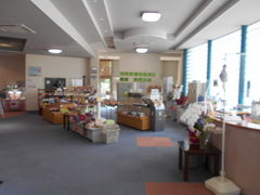 �g�V���[����̍b���򉷐�@�p�m���}�̓��ւ̓��e�ʐ^1