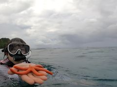 񁖂̃_CrOVbvTI.OCEANւ̓eʐ^1