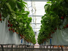 悵̂肳̂̉Ԃւ̓eʐ^1